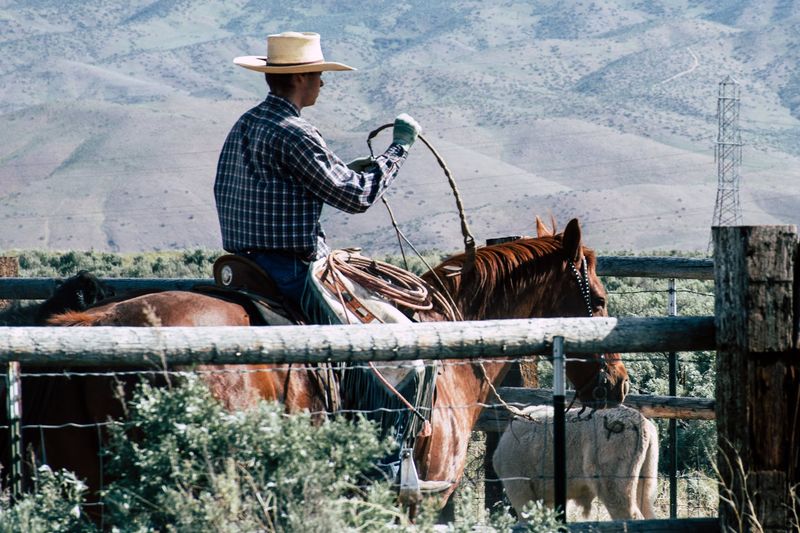 Never Ride Another Man’s Horse Without Permission