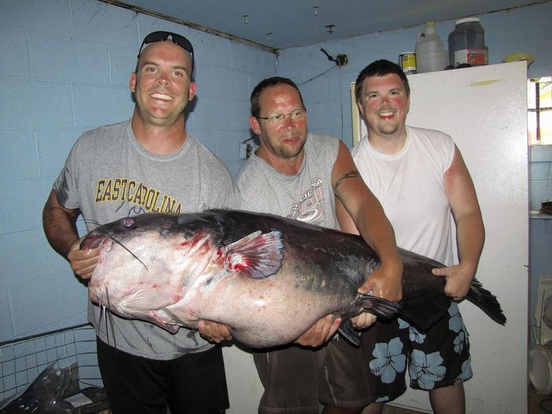 Nick Anderson – 2011 (Blue Catfish, Virginia)