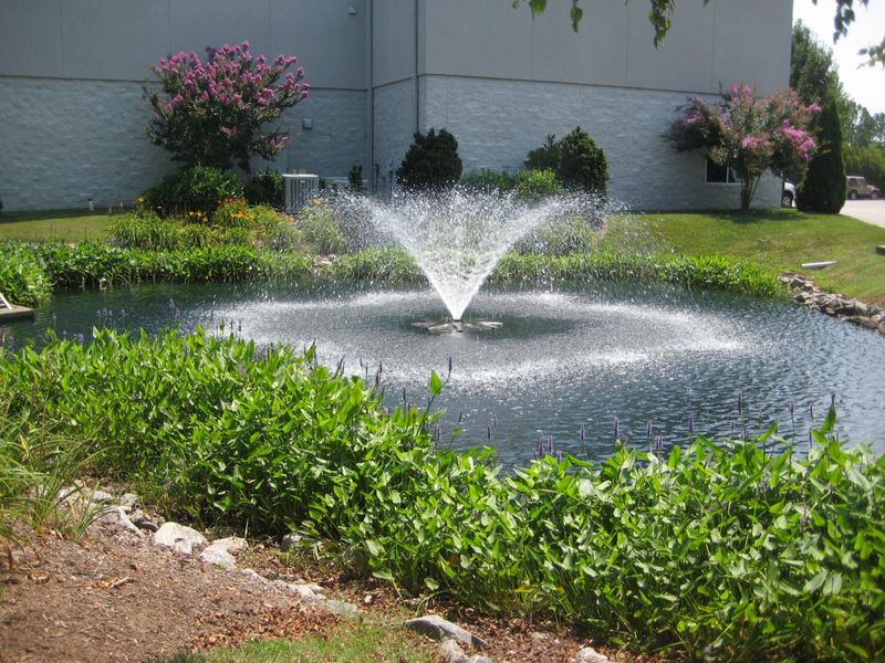 No Fishing in the Office Water Fountain