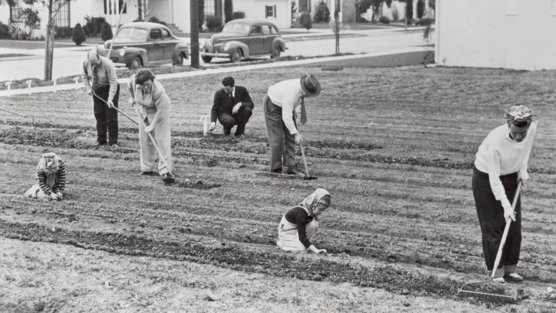 Planting Victory Gardens