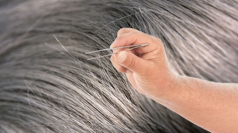 Plucking Gray Hairs Causes More to Grow
