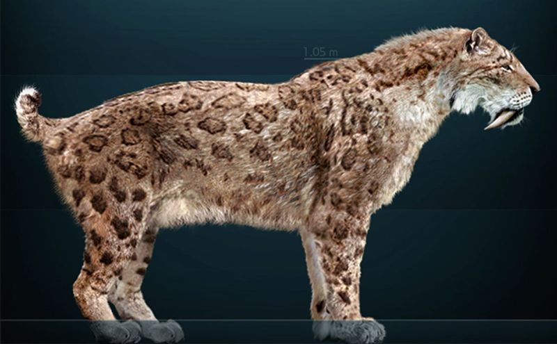 Saber-Toothed Cat (Smilodon)