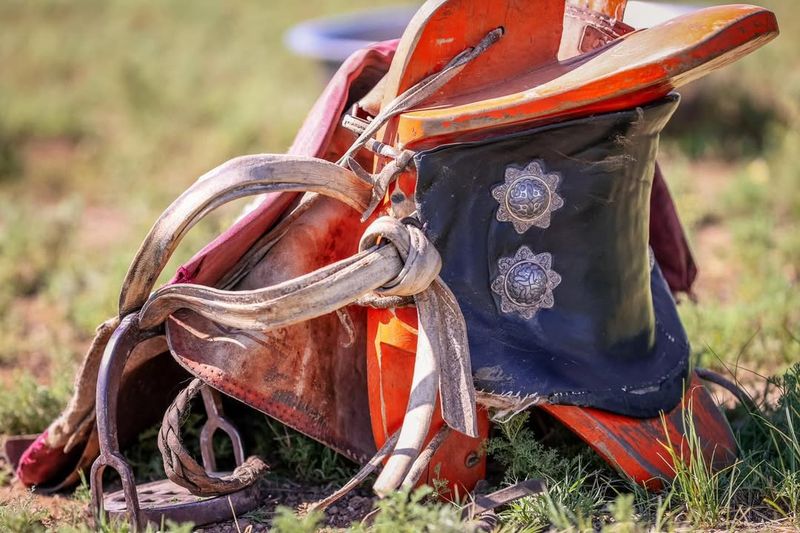 Saddle on the Ground