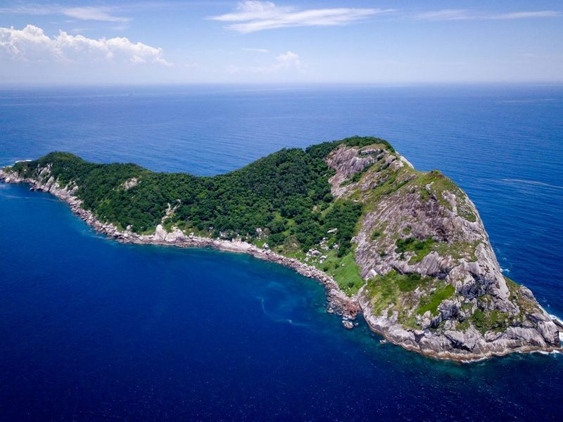 Snake Island, California