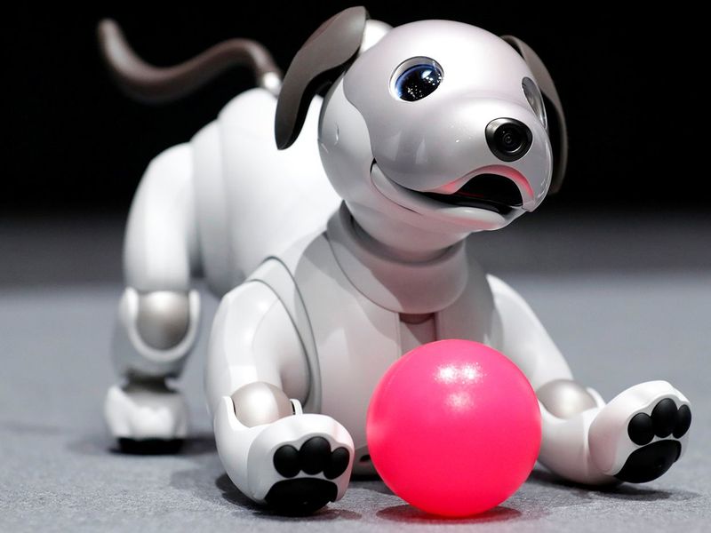 Sony AIBO