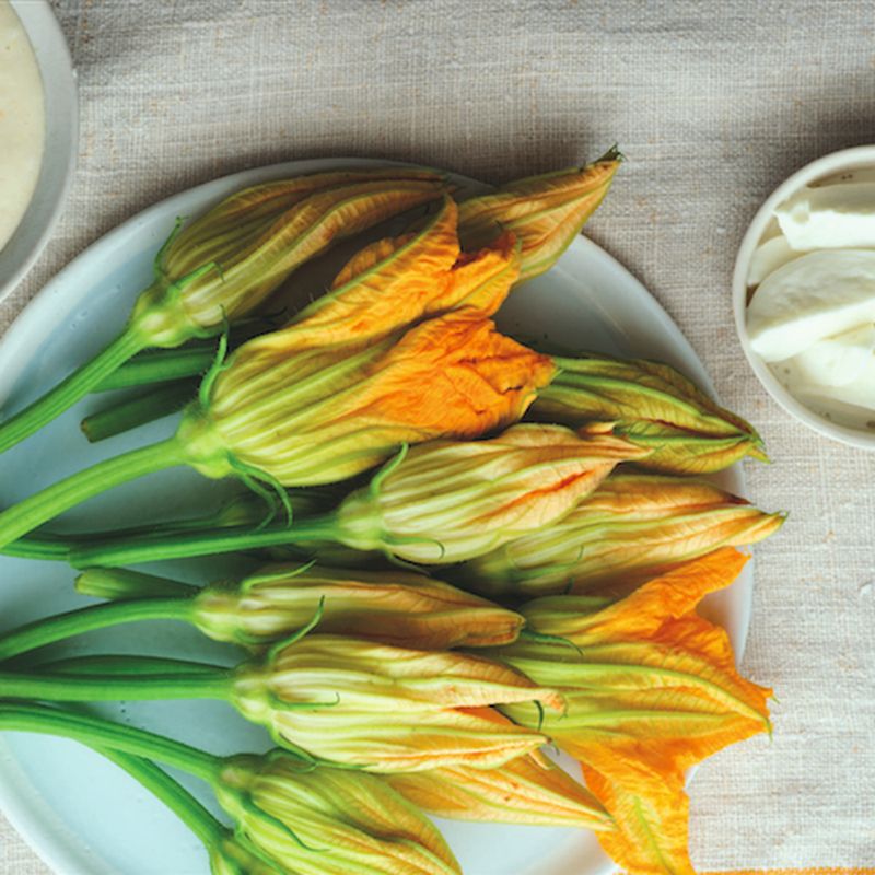 Squash Blossoms