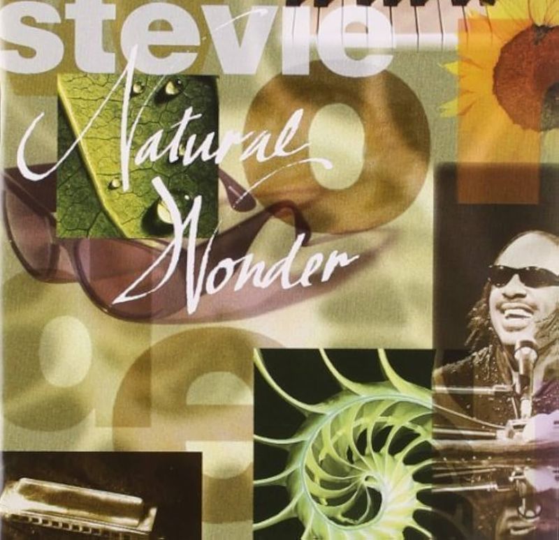 Stevie Wonder – Natural Wonder (1995)