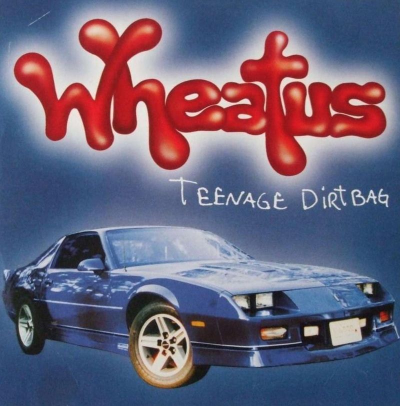 Teenage Dirtbag – Wheatus