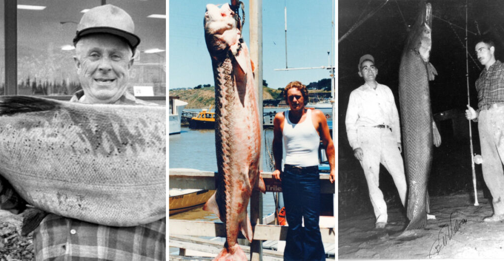 The 10 Most Jaw-Dropping Fish Catches in U.S. History!