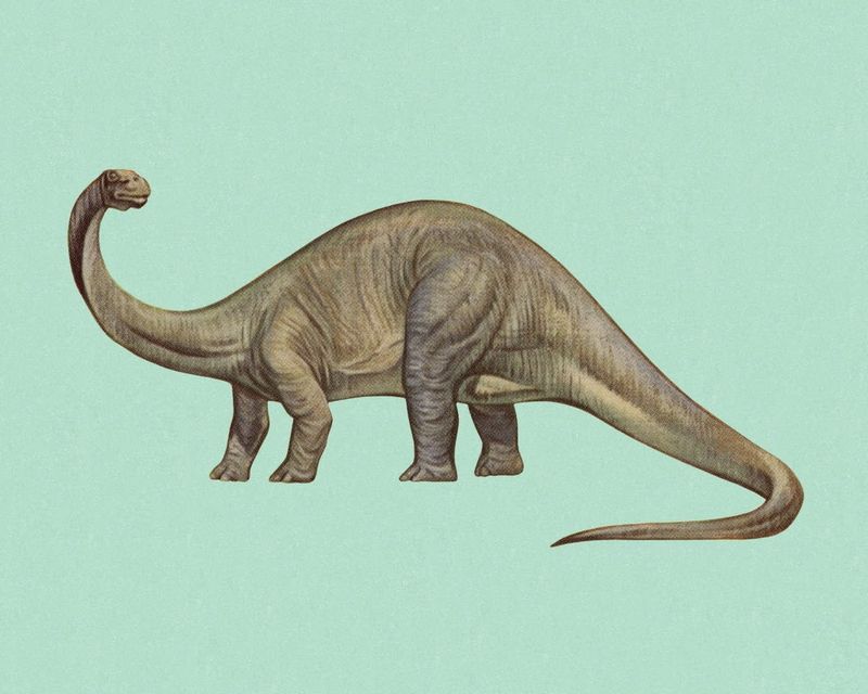 The Brontosaurus Doesn’t Exist at All