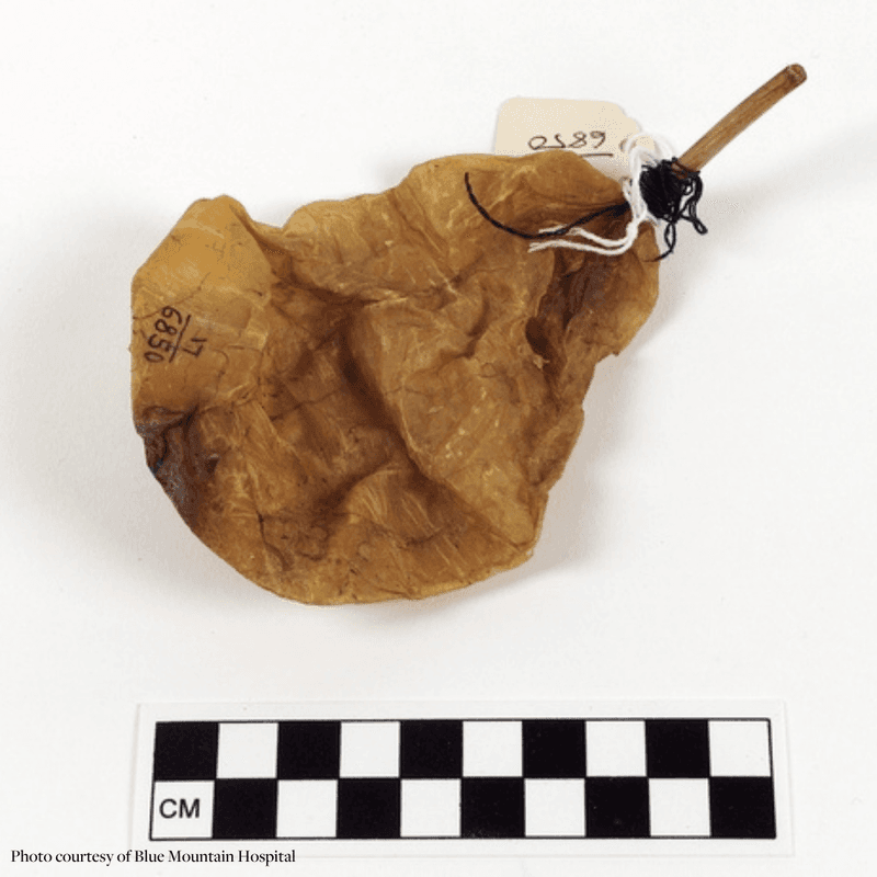 The First Syringes