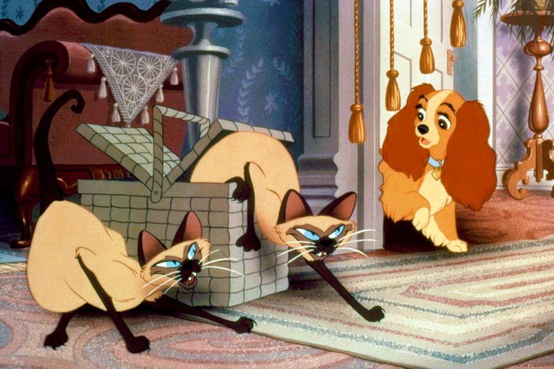 The Siamese Cats in Lady and the Tramp