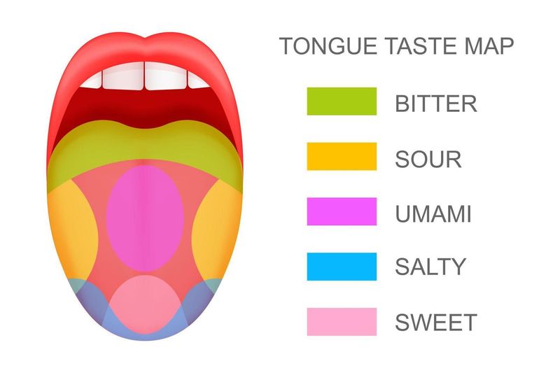 The Tongue Has Separate Zones for Each Taste