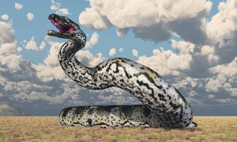 Titanoboa (Extinct)