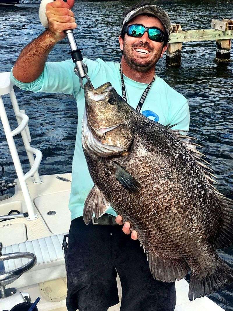 Unknown Angler – 1961 (Goliath Grouper, Florida)