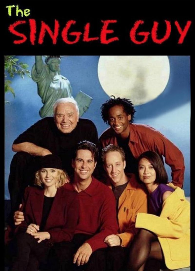 The Single Guy (1995–1997)