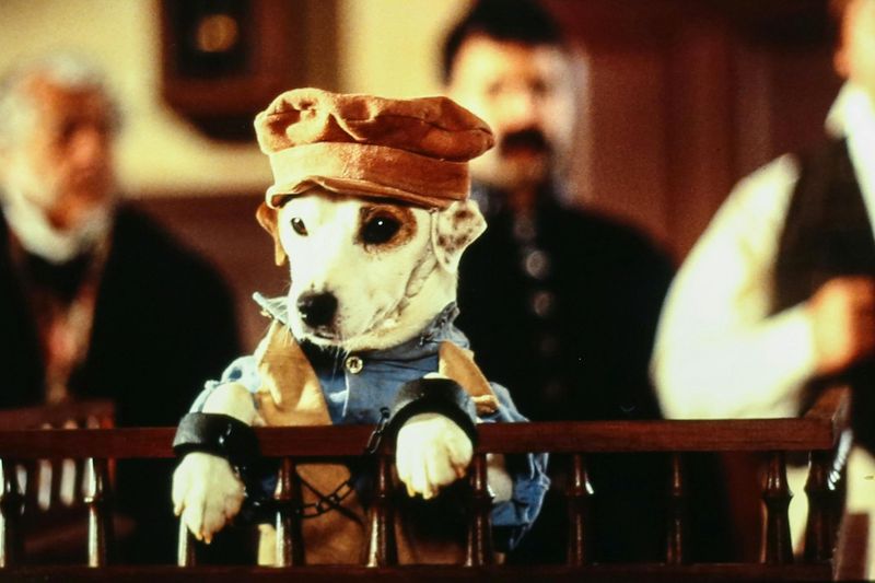 Wishbone from Wishbone