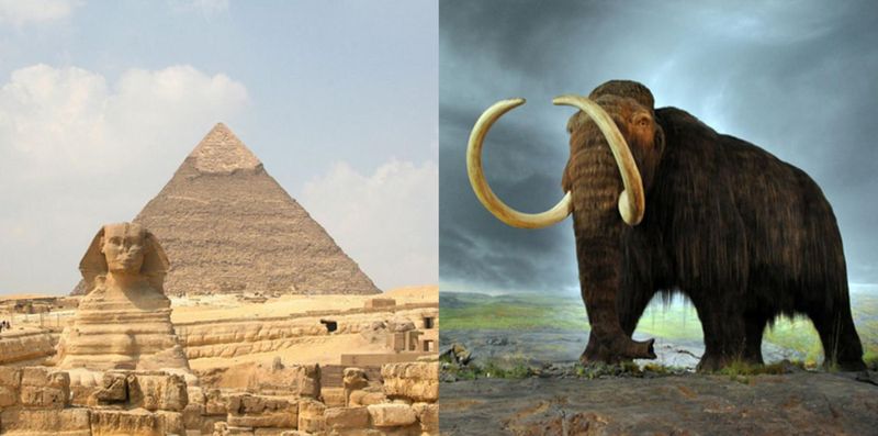 Woolly Mammoths and Pyramids