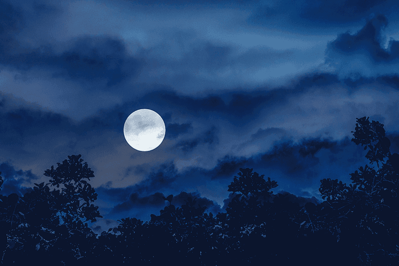 The Midnight Chase