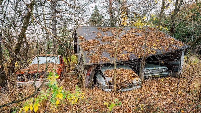 Backyard Car Graveyards