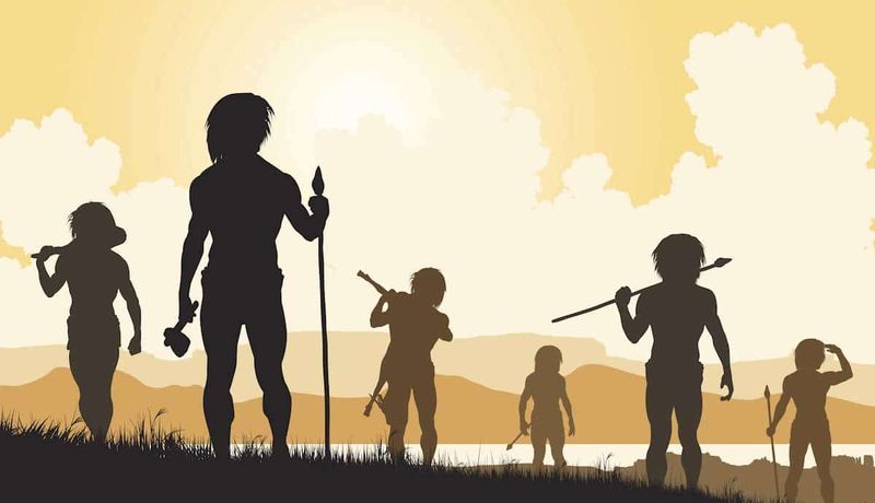 The Neolithic Revolution (c. 10,000–8,000 BCE)