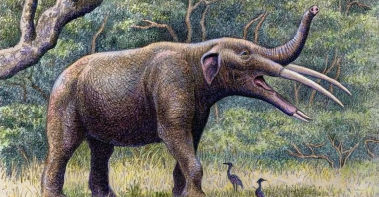25 Ancient Elephants You Won’t Believe Once Roamed the Earth