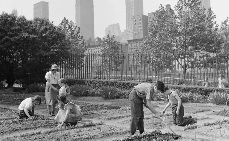 Victory Gardens Were Essential for Food