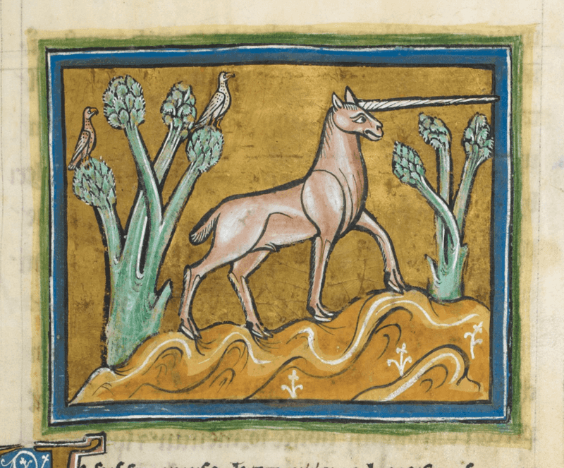 Monoceros