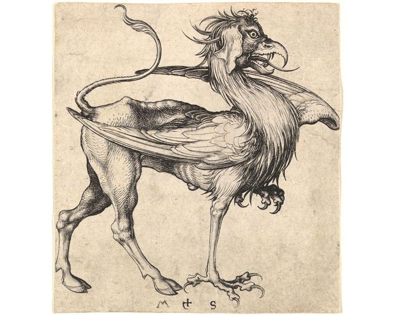 Griffin