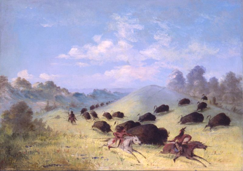 Communal Buffalo Hunts