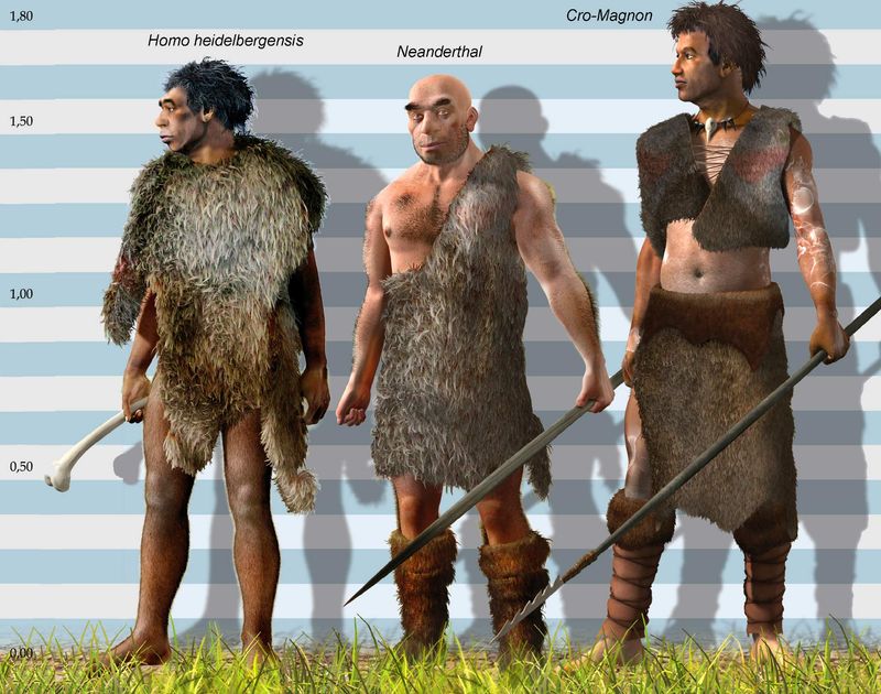 Origin and Migration