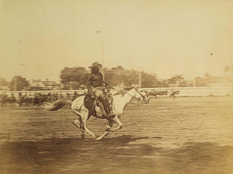 He Shot a Buffalo While Riding a Horse at Full Speed