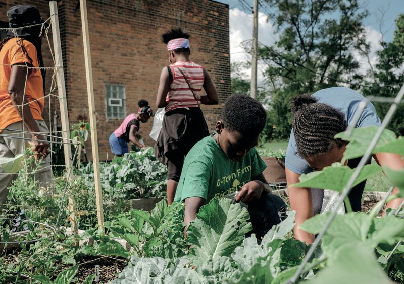 Small-Scale Gardening