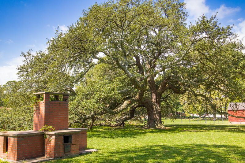 The Emancipation Oak & Gardens