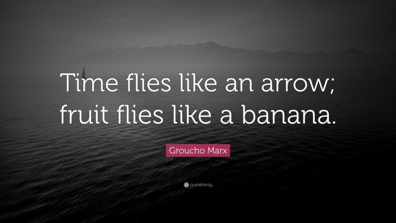 Time flies like an arrow. Fruit flies like a banana.