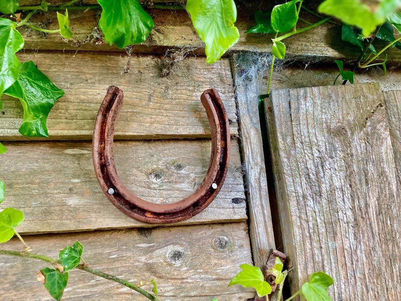 Horseshoe Luck