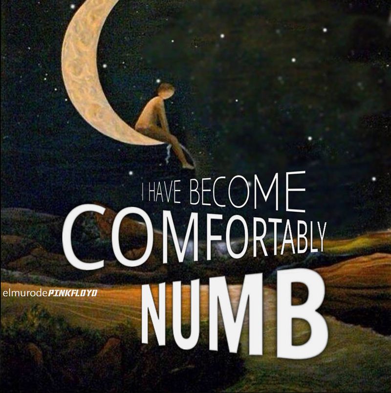 Pink Floyd – “Comfortably Numb” (1979)