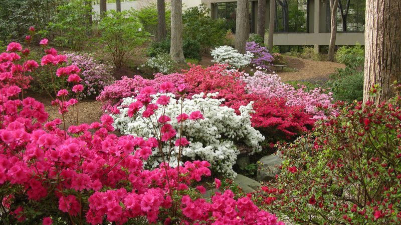 The African American Heritage Garden