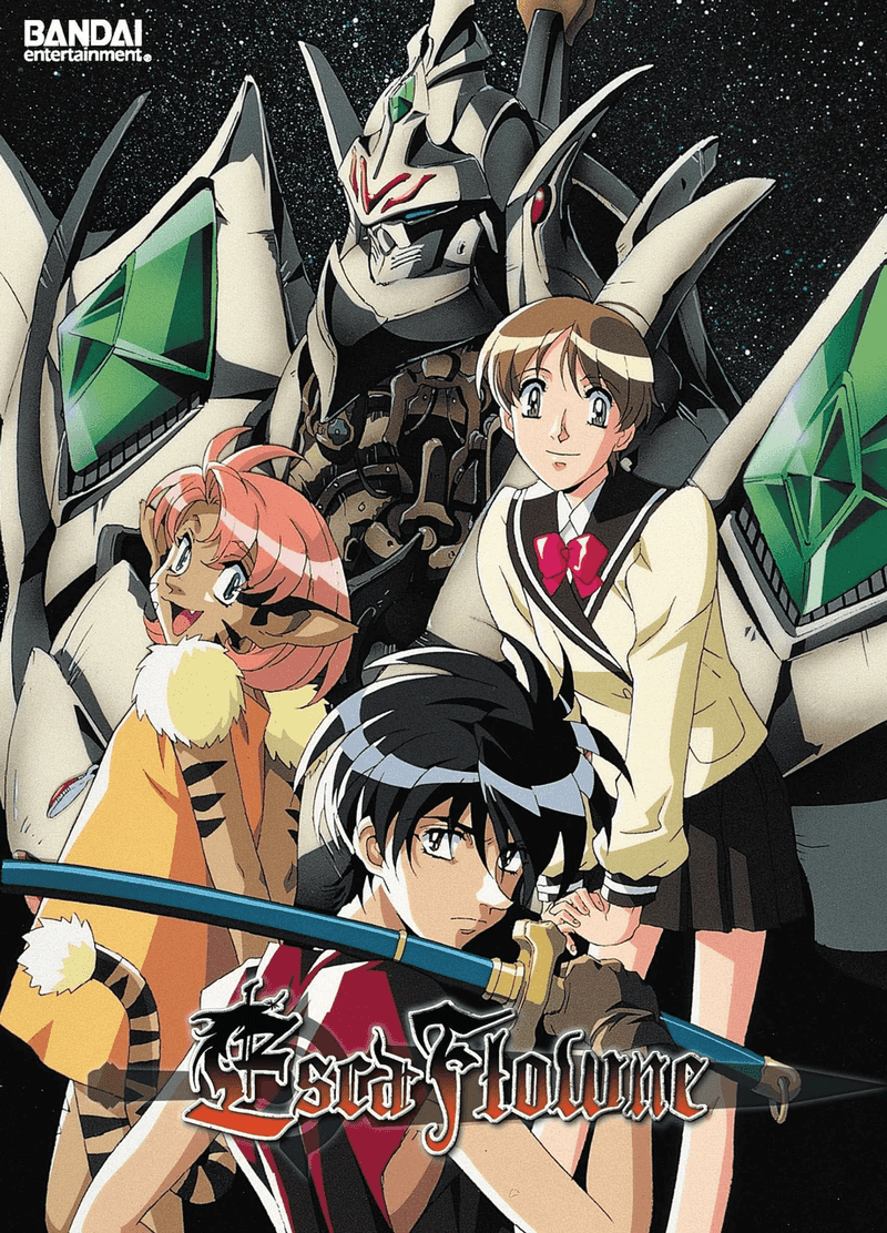 The Vision of Escaflowne (1996)