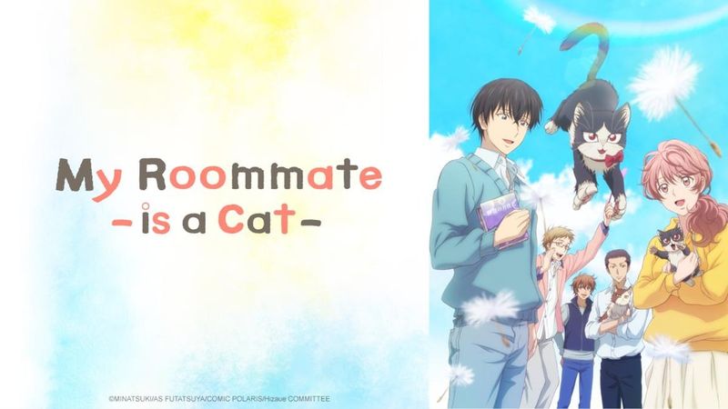 My Roommate is a Cat (2019)