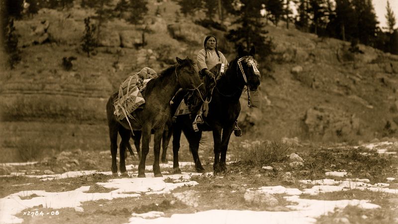 Impressive Horse Cultures