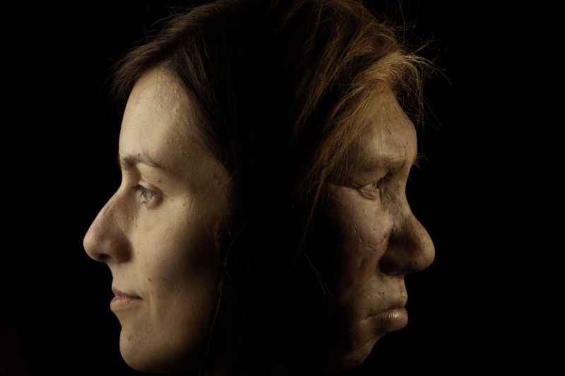 Legacy and Connection to Modern Humans
