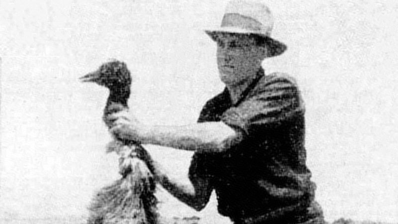 The Great Emu War