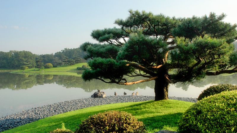 Black Heritage Garden at Chicago Botanic Garden