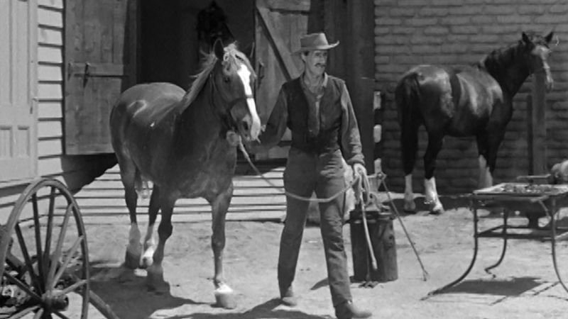 Wyatt Earp Was Arrested for Horse Theft