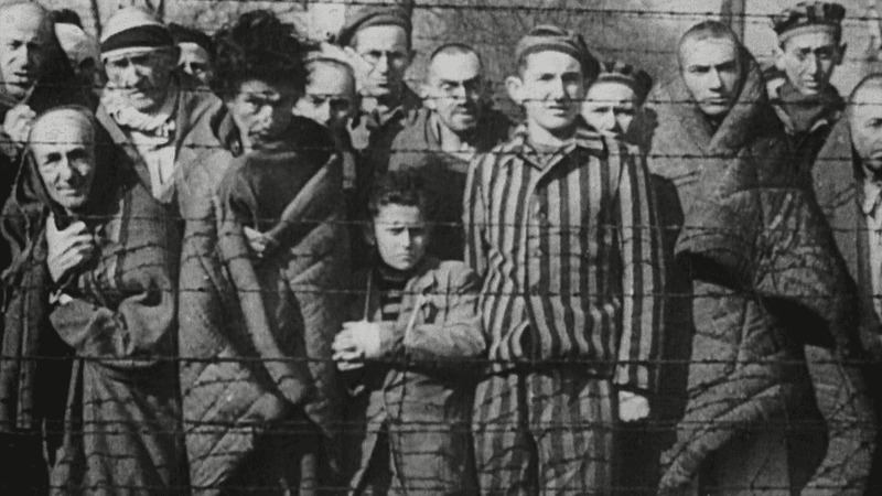 Phantom Liberations: Mysterious Camp Rescues