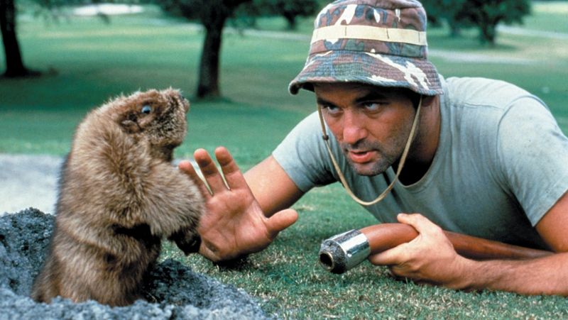 Caddyshack