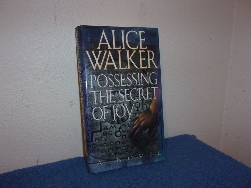 Possessing the Secret of Joy (1992)