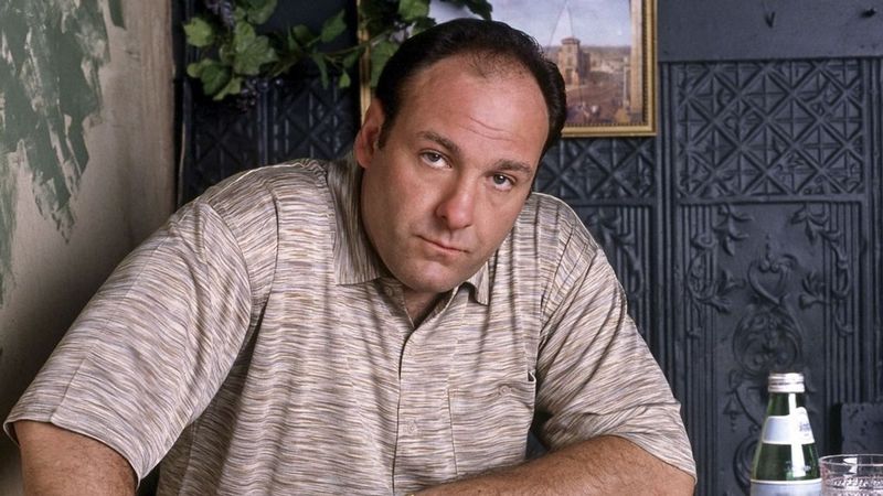James Gandolfini as Tony Soprano