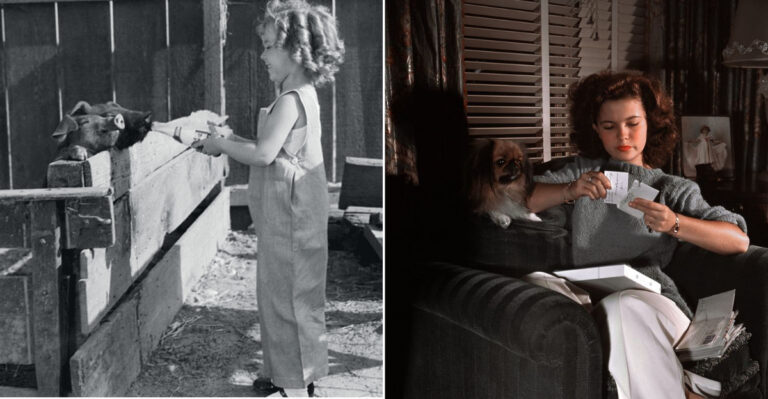 16 Rarely Seen Photos That Reveal Shirley Temple’s Life Off Camera